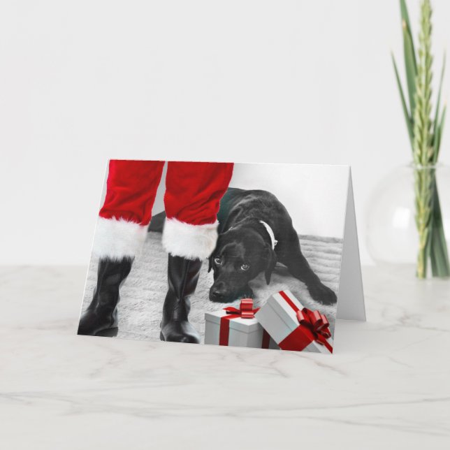 Madison the Black Labrador Christmas Card (Front)