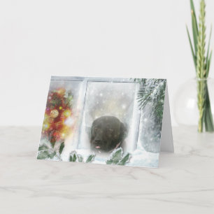 Madison the Black Labrador Christmas Card