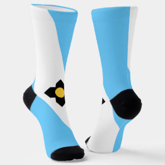 Madison (Wisconsin) city flag Socks