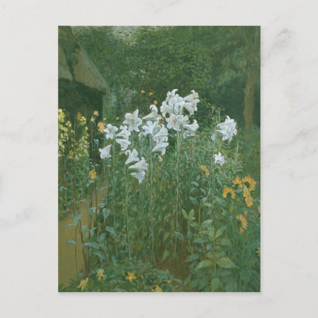 Madonna Lilies in a Garden Postcard (Front)