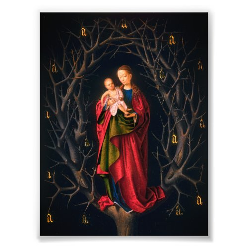 Madonna of the Dry Tree Petrus Christus 1462_5 Photo Print