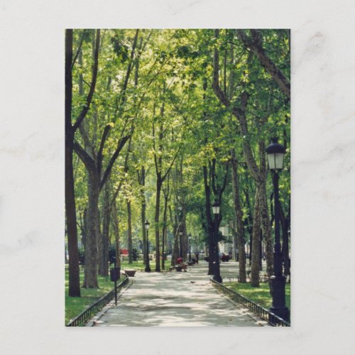 Madrid Park Postcard