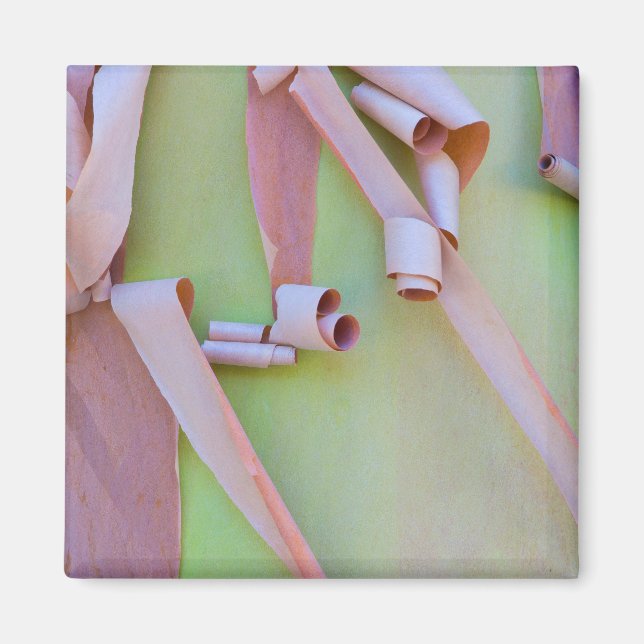 Madrone Tree Bark Abstract Magnet (Front)