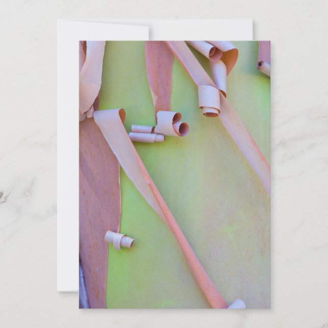 Madrone Tree Bark Abstract Thank You Card (Front)