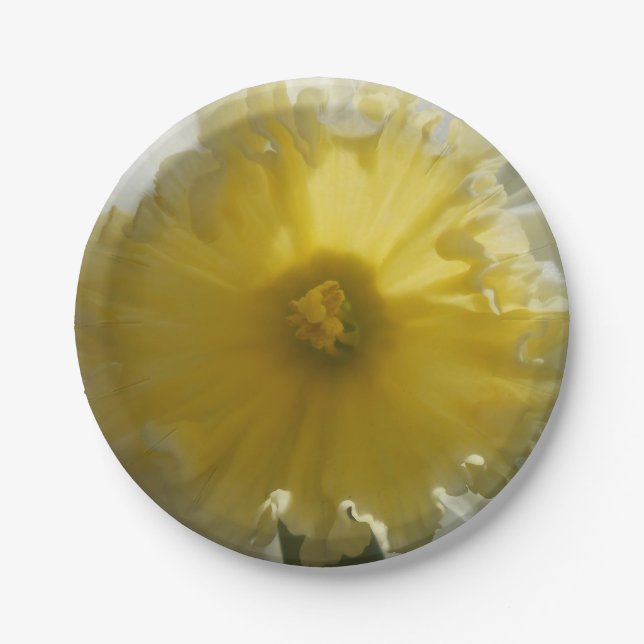 Maenad Paper Plates (Front)