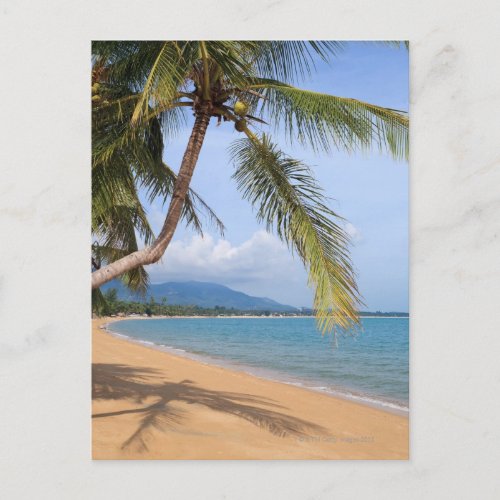 Maenam beach postcard