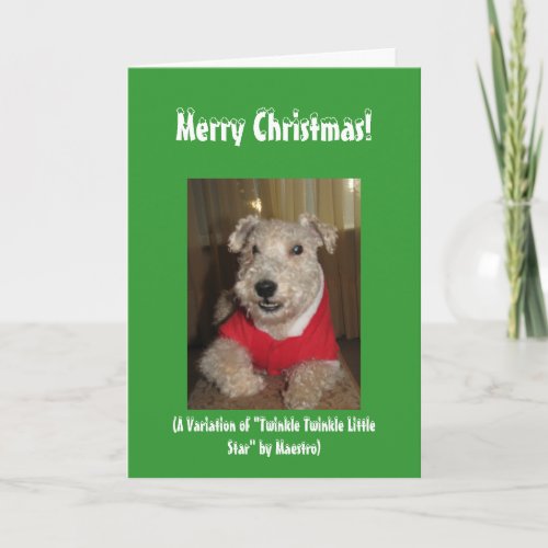 Maestro the Lakeland Terrier Christmas Cards