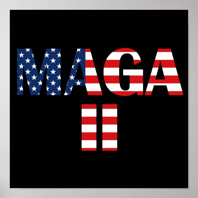 MAGA 2, American Flag Poster (Front)
