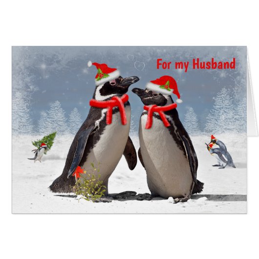 Magellanic Christmas Card HUSBAND (Front Horizontal)