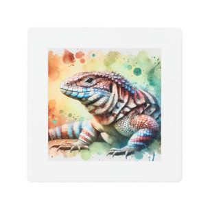Magellanic lizard 070824AREF122 - Watercolor Metal Print