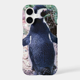 Magellanic Penguin in Peninsula Valdes - Argentina iPhone 17 Case