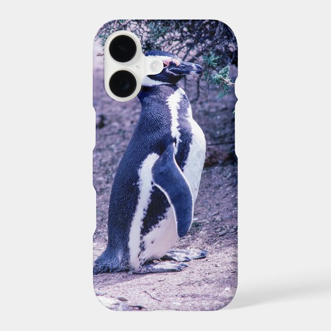 Magellanic Penguin in Peninsula Valdes - Argentina Case-Mate iPhone Case (Back)