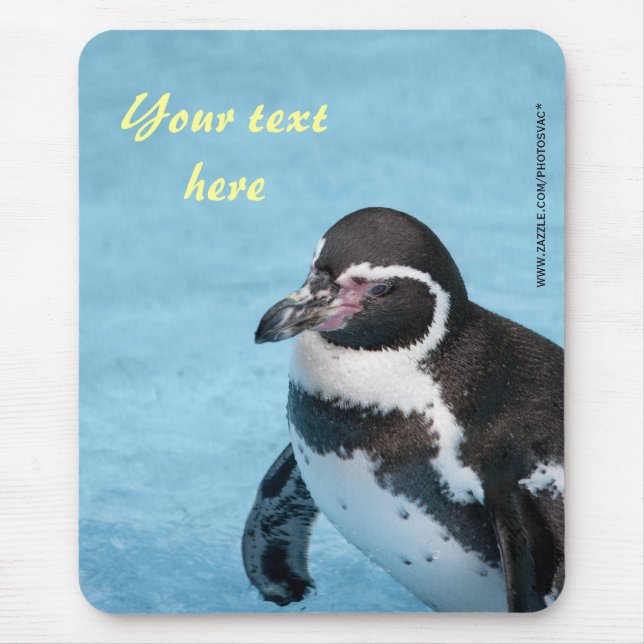 Magellanic Penguin Mousepad (Front)