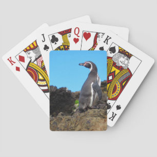 magellanic penguin poker cards