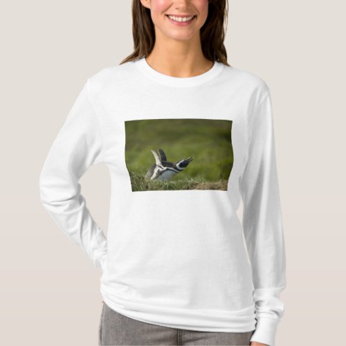 Magellanic Penguin Spheniscus magellanicus T_Shirt
