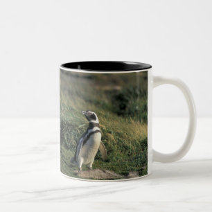 Magellanic Penguin (Spheniscus magellanicus), Two-Tone Coffee Mug