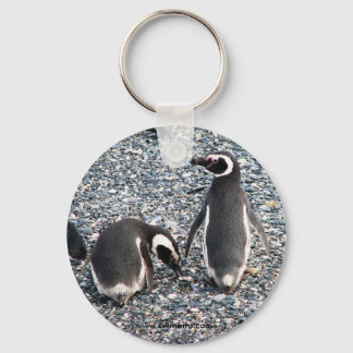 Magellanic Penguins, Beagle Channel, Patagonia Keychain