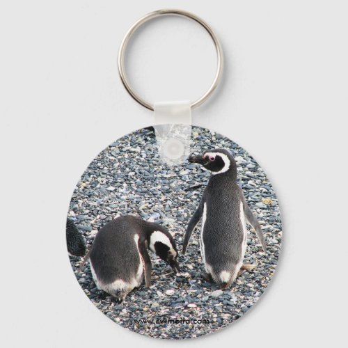 Magellanic Penguins Beagle Channel Patagonia Keychain