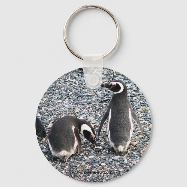 Magellanic Penguins, Beagle Channel, Patagonia Keychain (Front)