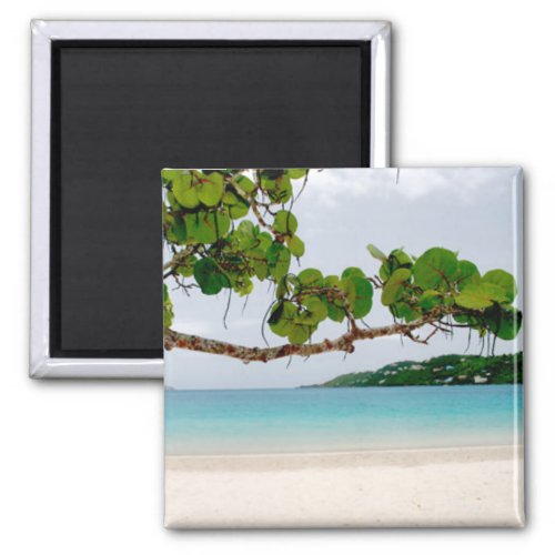 Magens Bay St Thomas 2 Inch Square Magnet
