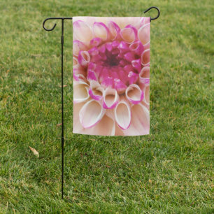 Magenta and white dahlia close up garden flag