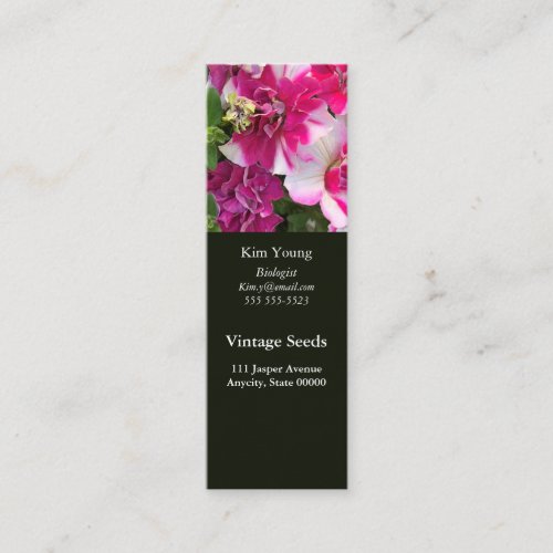 Magenta and white petunias bookmark Business Card