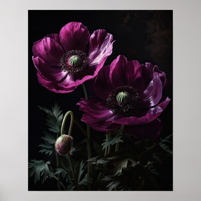 Magenta Anemone Flowers Art Print Poster (Front)