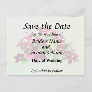 Magenta Clematis With Vine Announcement Postcard