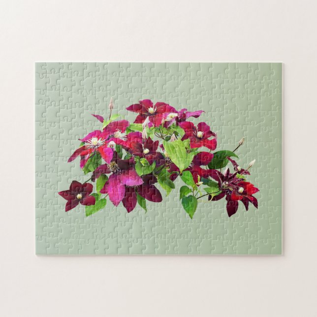 Magenta Clematis With Vine Jigsaw Puzzle (Horizontal)