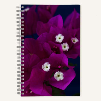 Magenta Flower Photo Spiral Notebook