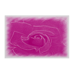 Magenta lace rose acrylic print