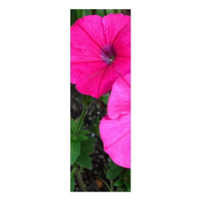 Magenta Morning Glory Bookmark Business Cards