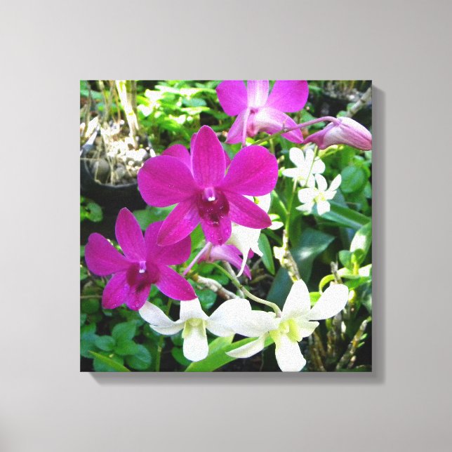 Magenta Orchids Wrapped Canvas Print (Front)