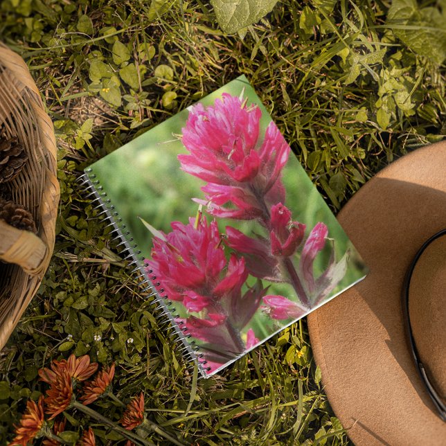 Magenta Paintbrush Blooms Floral Notebook (In Situ)