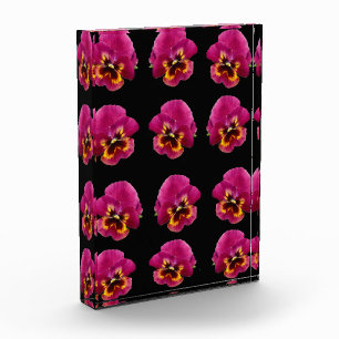 Magenta Pansies On Black, Photo Block