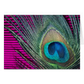 Magenta Peacock with Lines (Front Horizontal)