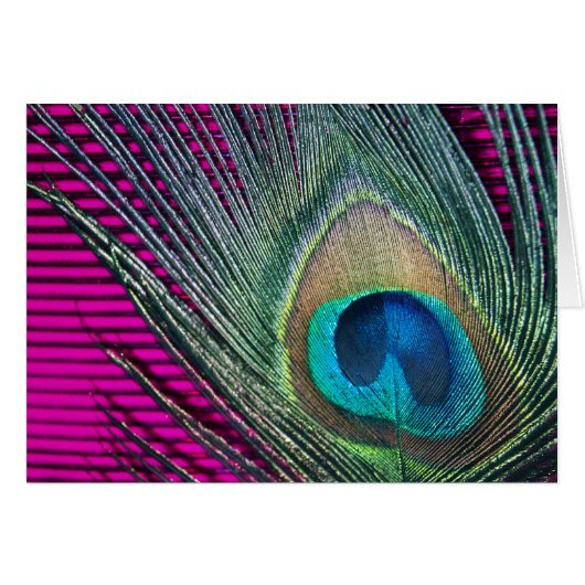 Magenta Peacock with Lines Cards (Front Horizontal)