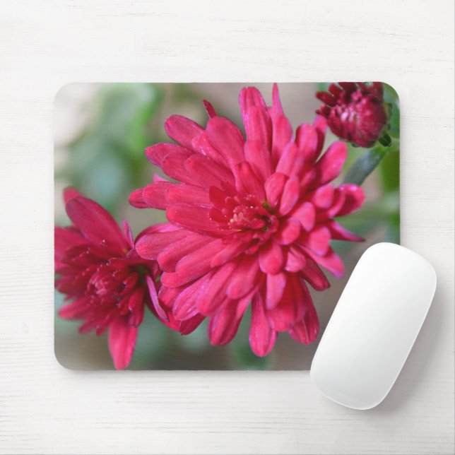 Magenta Pink Mum Flowers Mouse Pad (With Mouse)