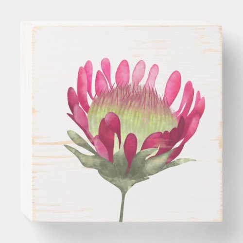 Magenta Protea Flower Wooden Box Sign