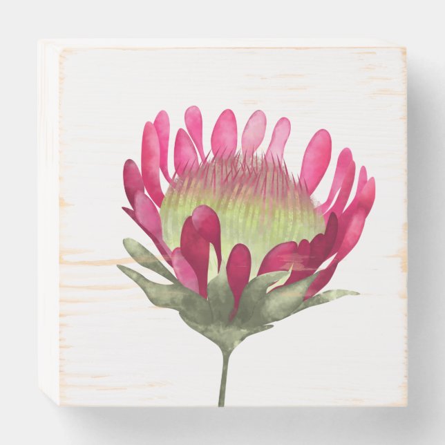 Magenta Protea Flower Wooden Box Sign (Front Horizontal)