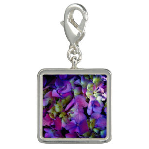 Magenta Purple blue yellow Hydrangeas flowers Charm