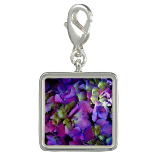 Magenta Purple blue yellow Hydrangeas flowers Charm