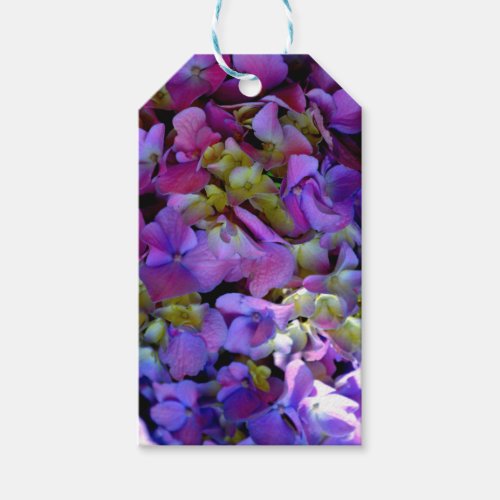 Magenta Purple blue yellow Hydrangeas flowers Gift Tags