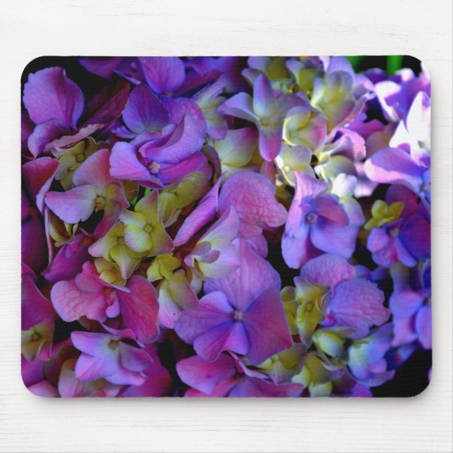 Magenta Purple blue yellow Hydrangeas flowers Mouse Pad (Front)