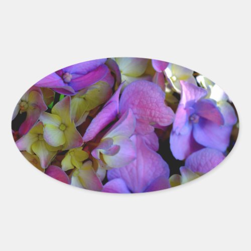 Magenta Purple blue yellow Hydrangeas flowers Oval Sticker