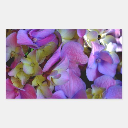 Magenta Purple blue yellow Hydrangeas flowers Rectangular Sticker