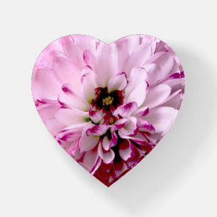 Magenta Tips Paperweight