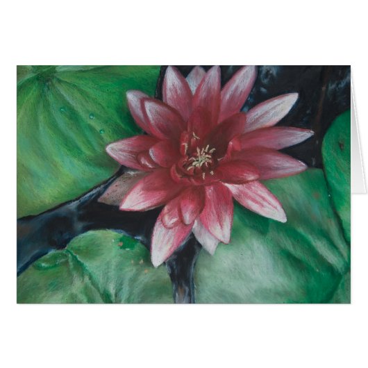 Magenta water lily cards (Front Horizontal)