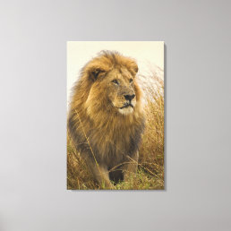 Magestic Black Maned Lion Canvas Print