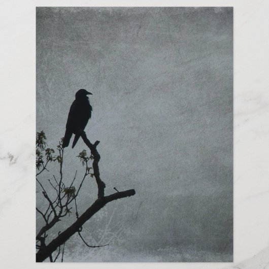 Magestic Crow (Front)